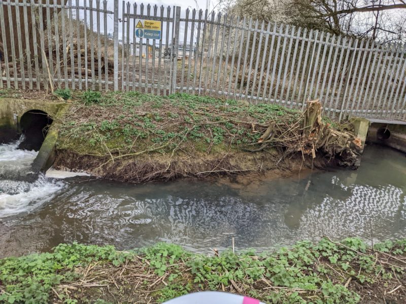 The treated and untreated sewage outfalls at Witney STW near the A40 bridge by Lidl.